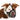 Company Of Animals | Baskerville Ultra Dog Muzzles | Vetopia