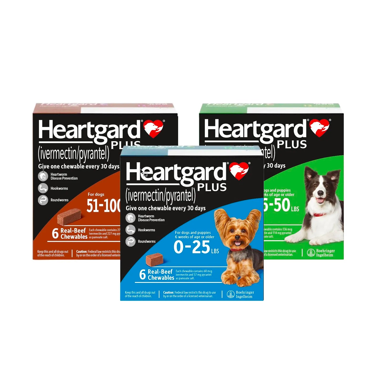 Heartgard Plus Heartworm Prevention for Dogs Vetopia – Vetopia