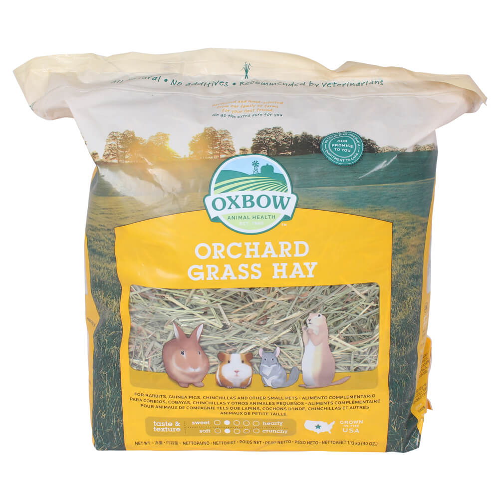 Oxbow Orchard Grass Hay 40oz Small Animal Food - Vetopia Online Store