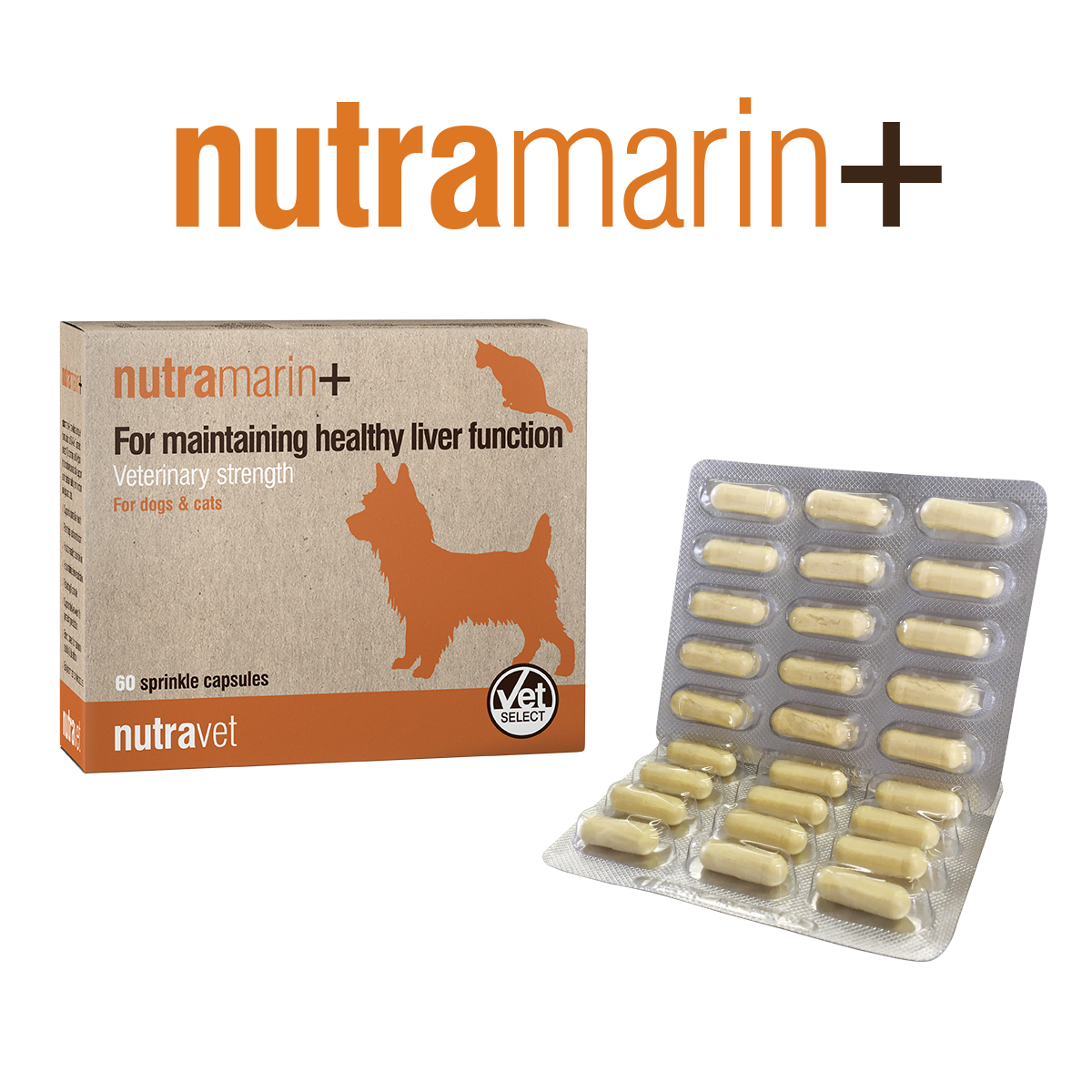 Nutravet -Nutramarin+ SAMe 100mg肝臟護理膠囊 (貓狗適用) 每盒60粒