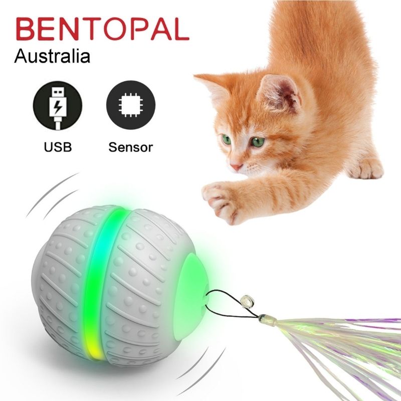 Bentopal - 智能碰碰球|電動逗貓玩具 P05 