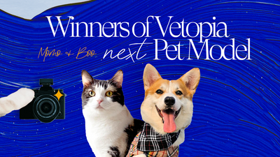 Vetopia Next Pet Model - FINALE🎊🎊
