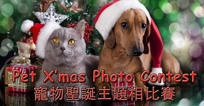 Pet X'mas Photo Contest 寵物聖誕主題相比賽