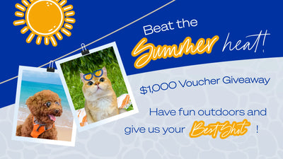 Beat the summer heat! $1,000 Voucher Giveaway