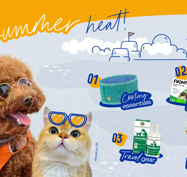 Beat the summer heat!