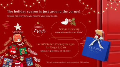 Vetopia has everything you need for your furry friends this holiday season.