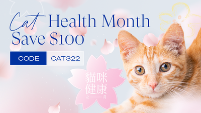 Vetopia貓咪健康之月 - 獲取$100折扣優惠!
