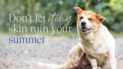Don't let itchy skin ruin your summer!