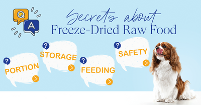 Secrets of Freezed-Dried raw food...