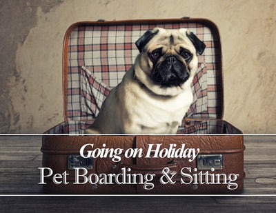 Going on Holiday – Pet Boarding & Sitting