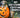 Pet Halloween Contest - Win the PRIZE!