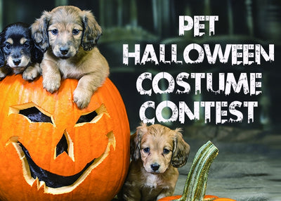 Pet Halloween Contest - Win the PRIZE!