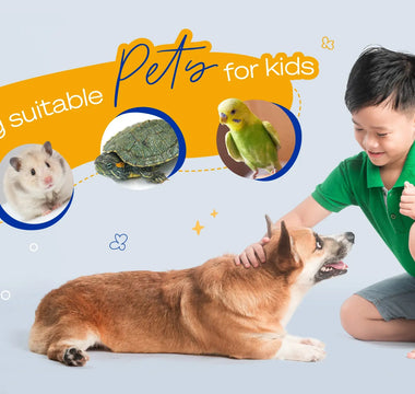 Choosing suitable pets for kids