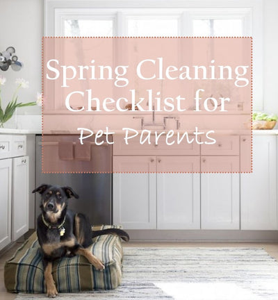 Spring Cleaning Checklist for Pet Parents