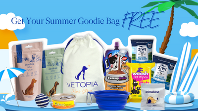 Get Your Summer Goodie Bag For Free