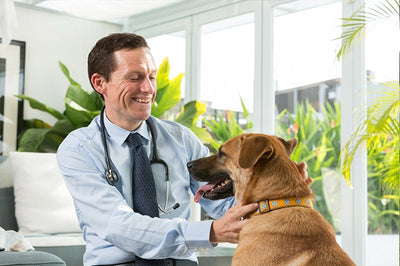 Health care & supplements for pets