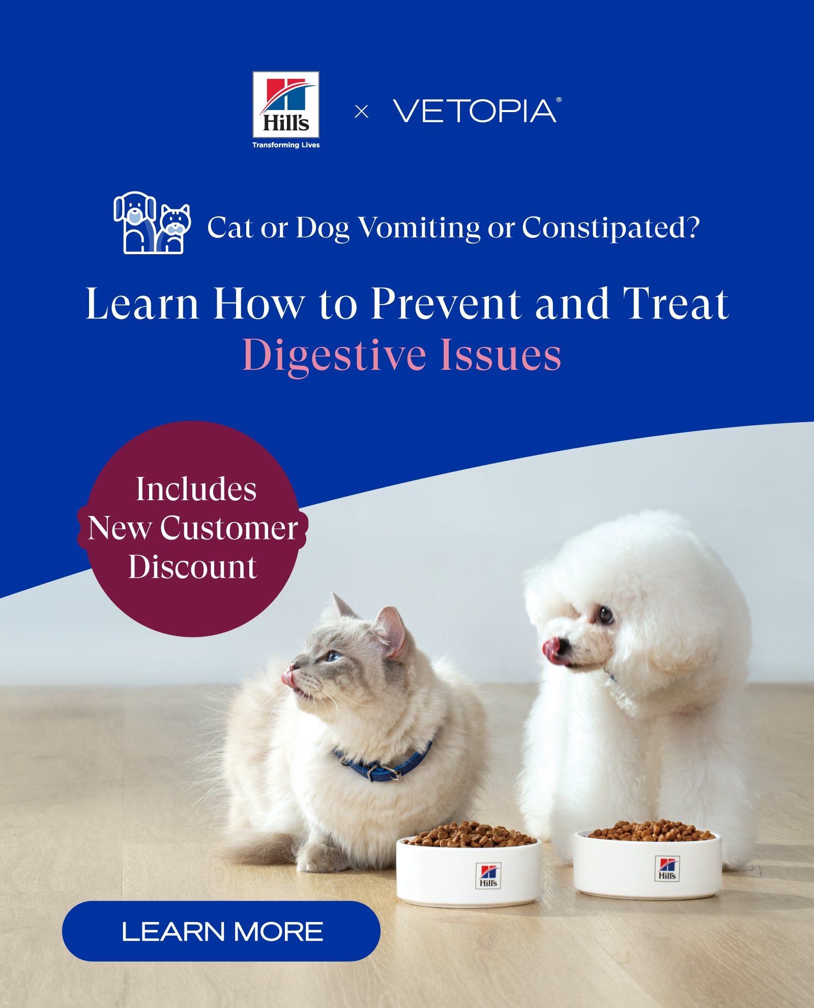Online Pet Supplies Store | Veterinarian-Founded | Vetopia – Vetopia ...