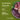 Lily's Kitchen - Wet Food For Dogs - Organic Lamb Supper 150g