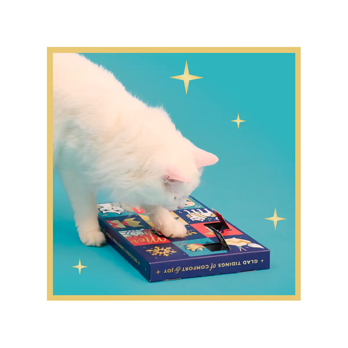Lily's Kitchen | Cat Advent Calendar | Cat Christmas Gift | Vetopia