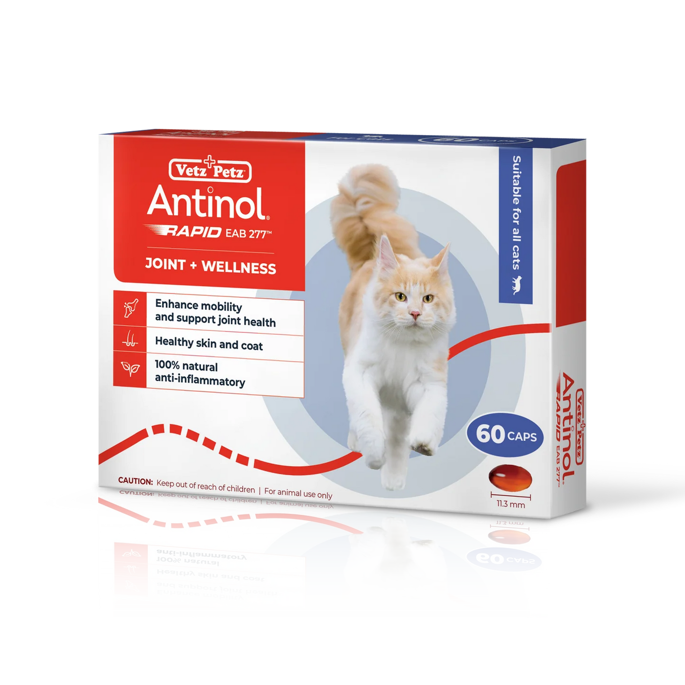 Antinol RAPID Soft Gel Capsule (Joint Supplement for Cats)