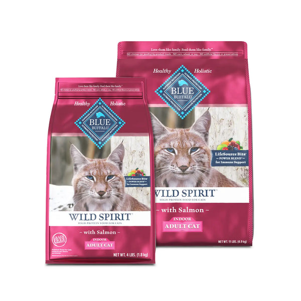 Blue buffalo indoor health cat food salmon sale