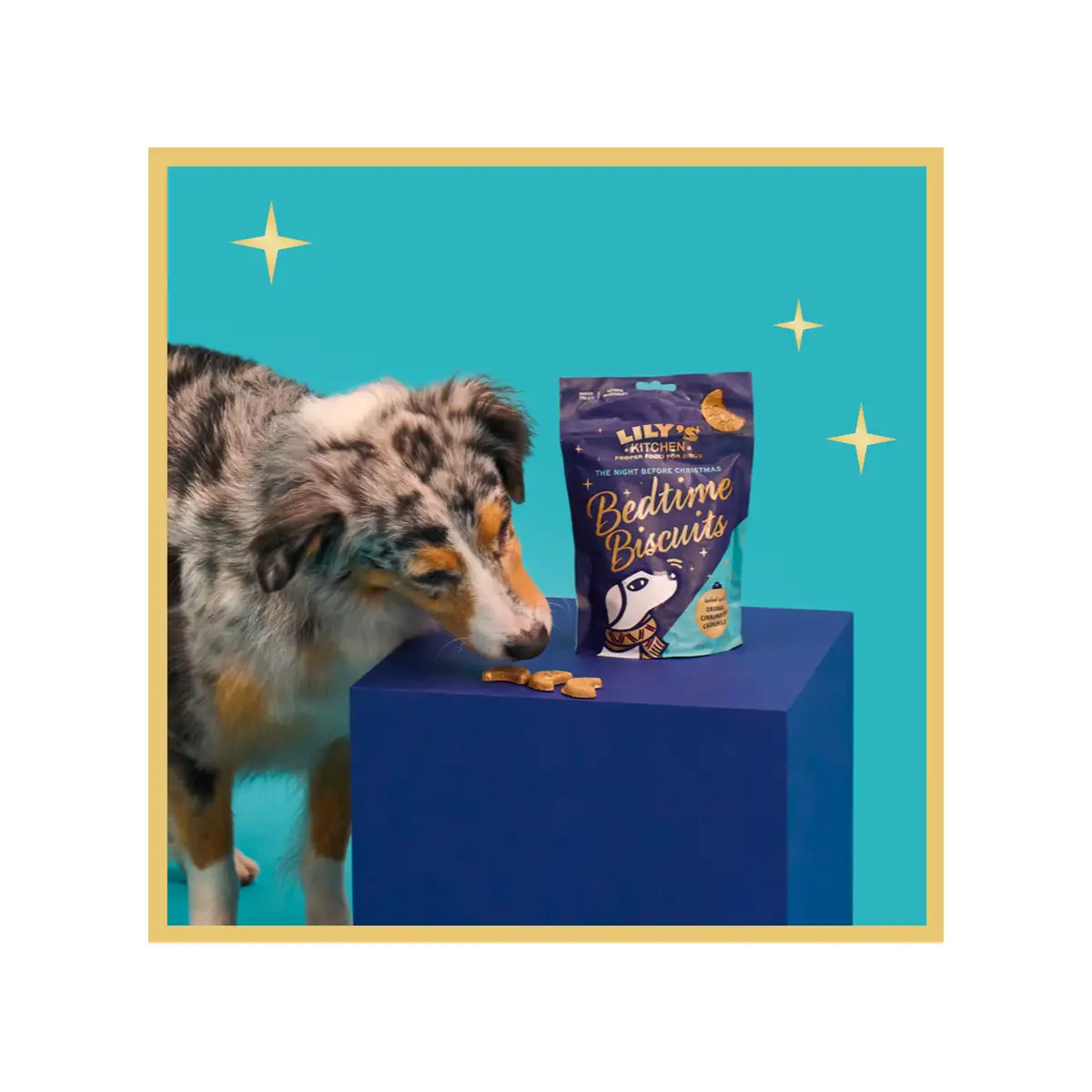 Lily's Kitchen Christmas Bedtime Biscuit 80g Vetopia