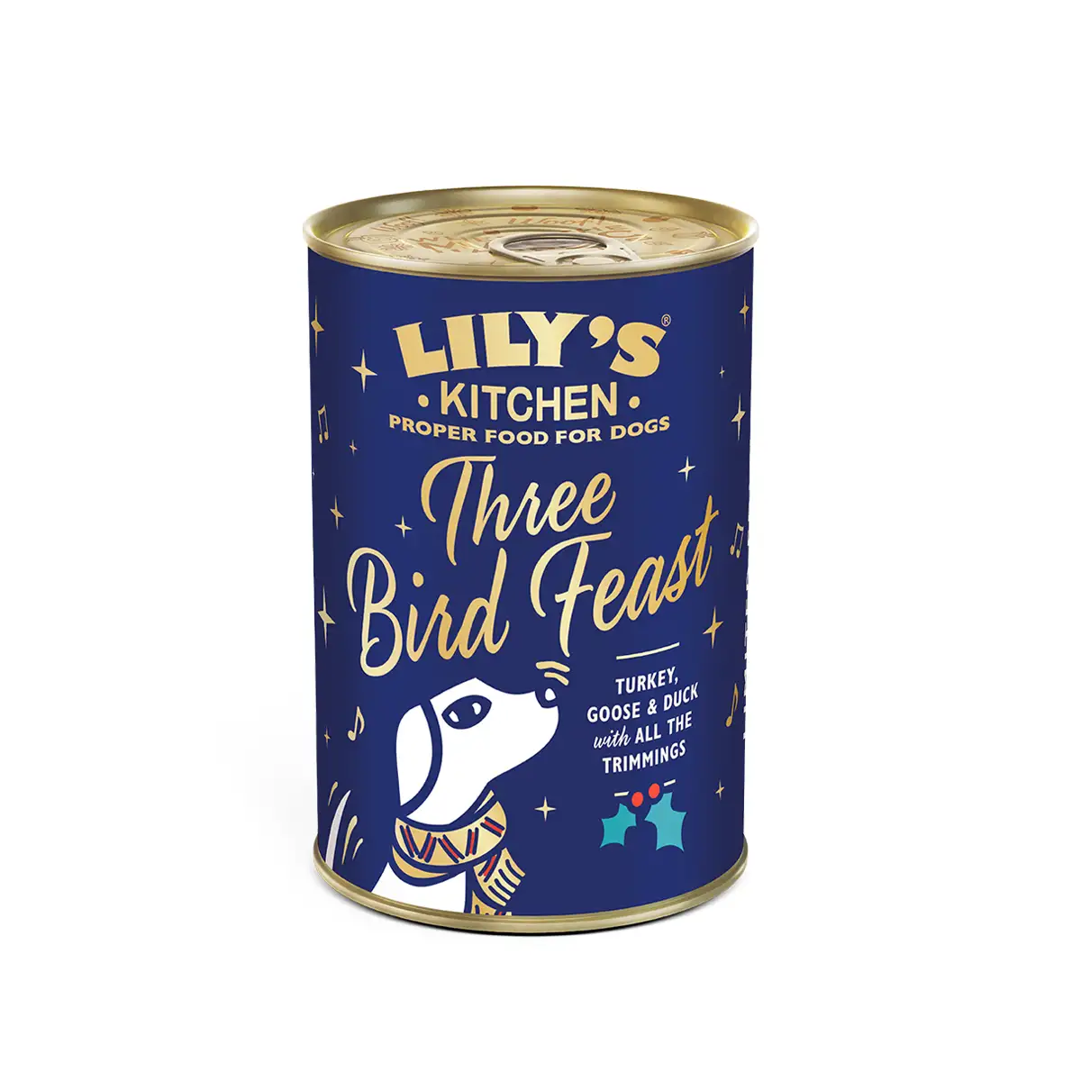 Lily's Kitchen | Christmas Three Bird Feast for Dogs (400g) | Vetopia