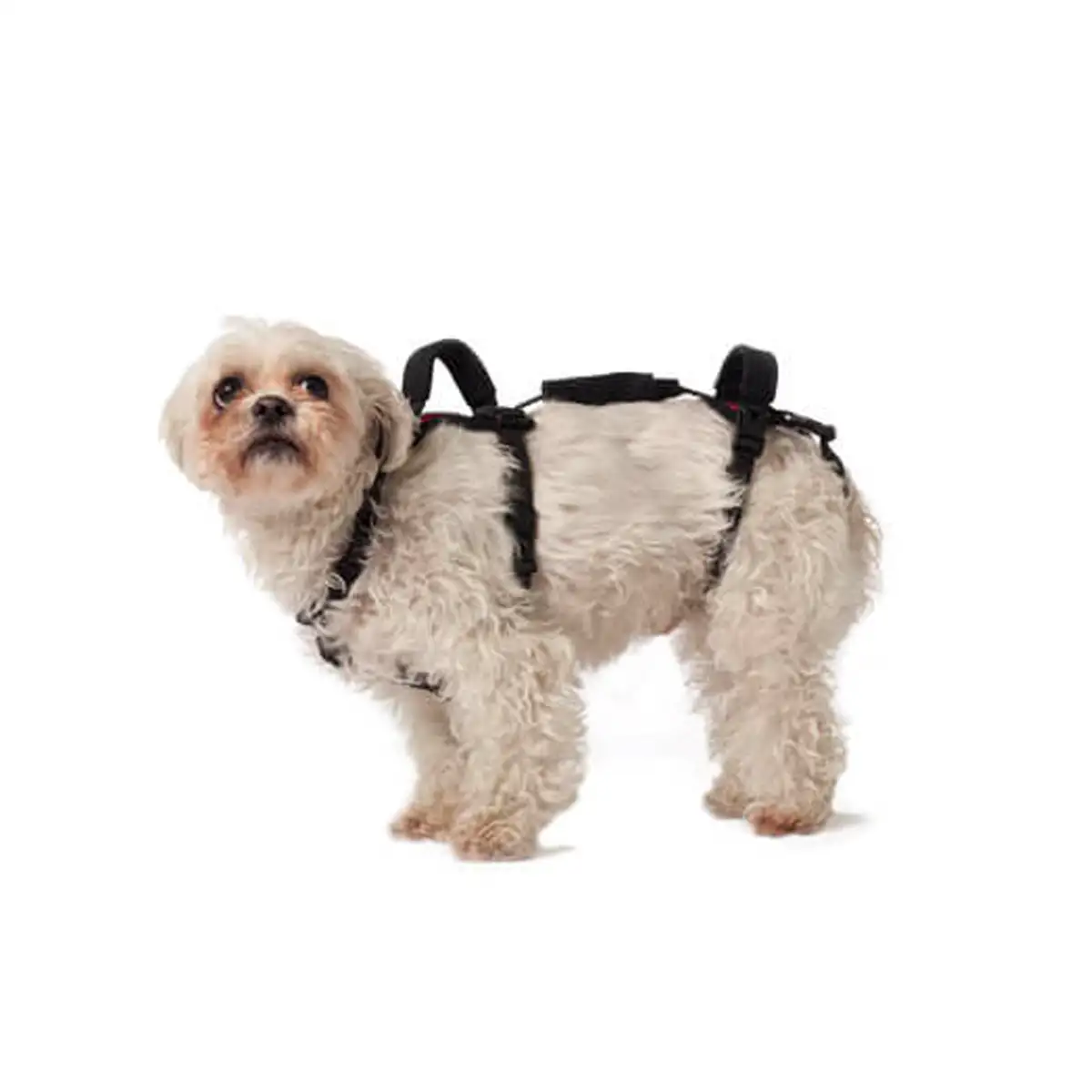 HelpEm Up - Dog Support Harness