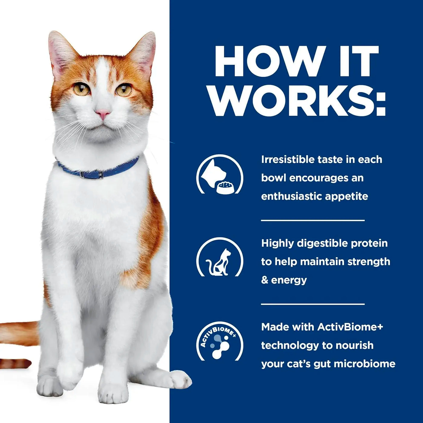 Hill's Prescription Diet - Feline ONC Cancer Care