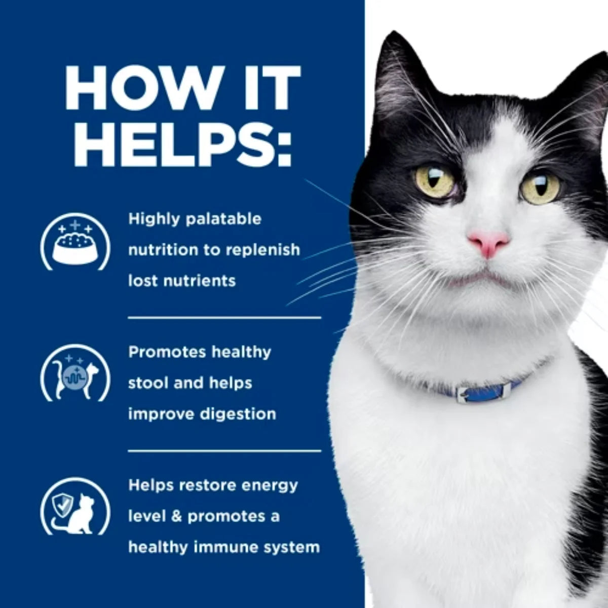 Hill's | i/d Digestive Care Canned Prescription Cat Food | Vetopia