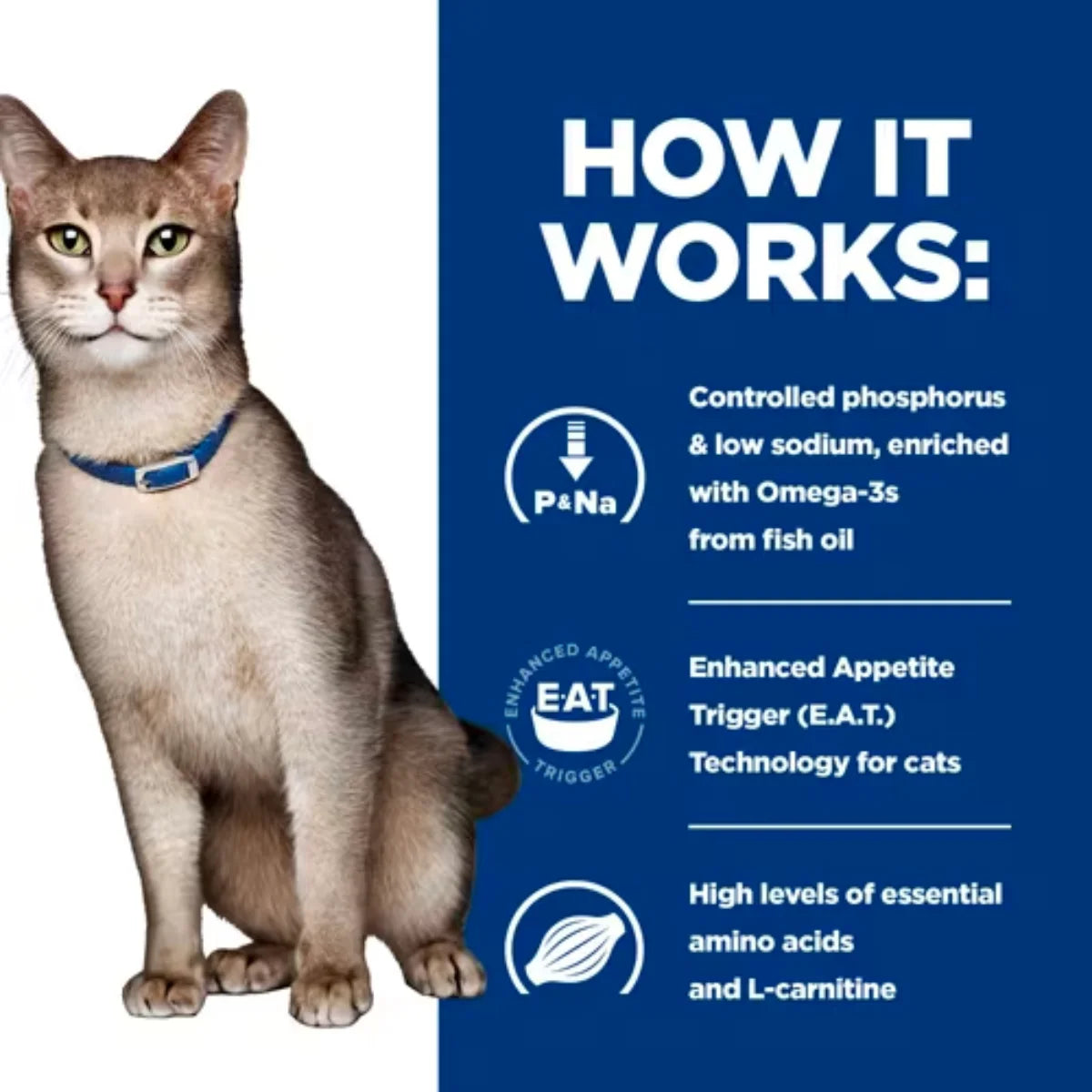 Hill's k/d Kidney Care Prescription Cat Food Pouch - Chicken | Vetopia