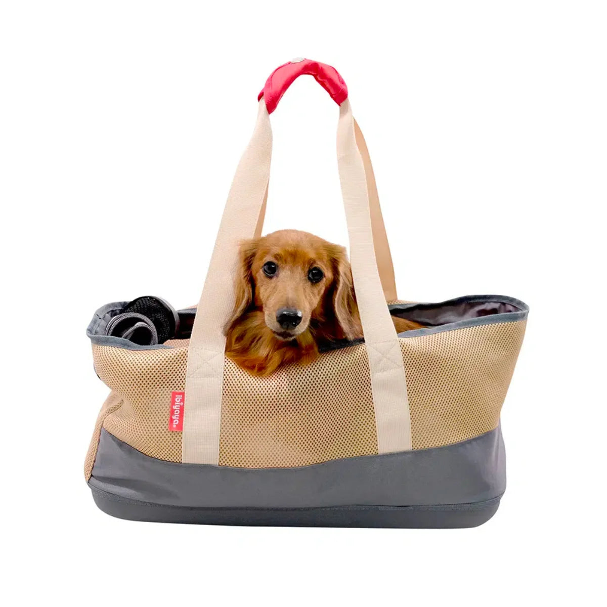 Ibiyaya | Breathable Dachshund Pet Carrier Bag | Vetopia