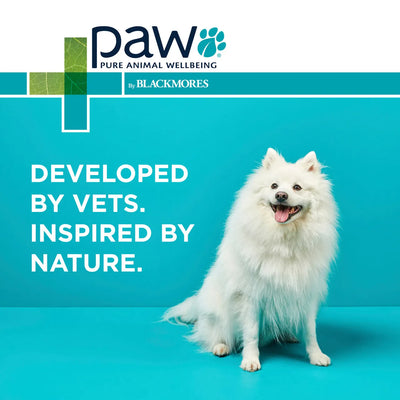 PAW by Blackmores | Osteo Advanced | Joint Chews for Dogs | Vetopia
