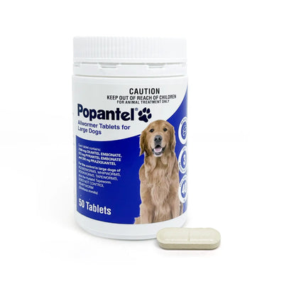 Popantel Dog Allwormer (per tablet)