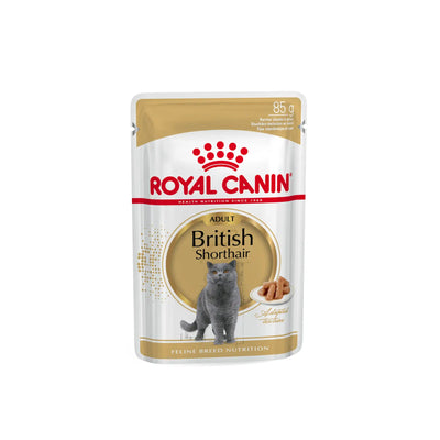 Royal Canin - Adult British Shorthair Wet Food In Gravy 85g