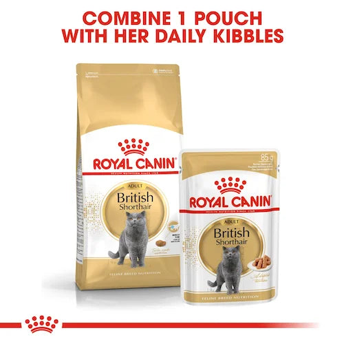 Royal Canin - Adult British Shorthair Wet Food in Gravy 85g