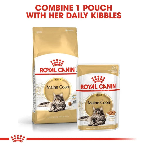 Royal Canin 法國皇家－緬因成貓專屬配方