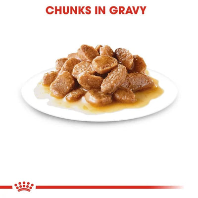 Royal Canin - Adult Mini Gravy Wet Food 85g