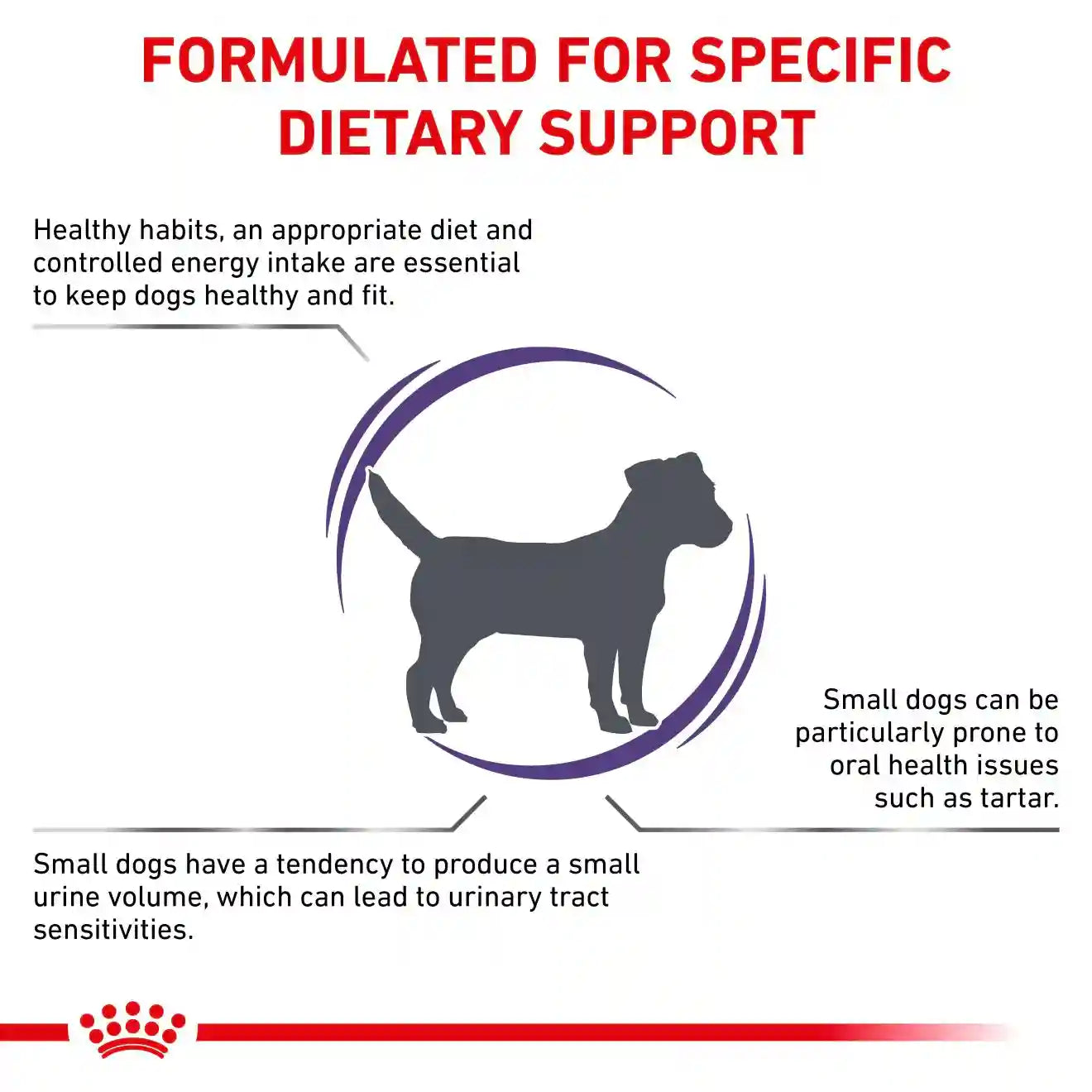 Royal Canin - Adult Small Dog