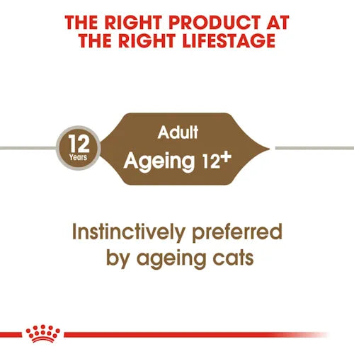 Royal Canin - Ageing 12+ Cat Wet Food in Jelly 85g