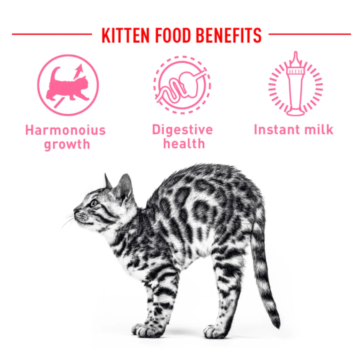 Royal Canin | Baby Cat Milk | Kitten Growth Program | Vetopia