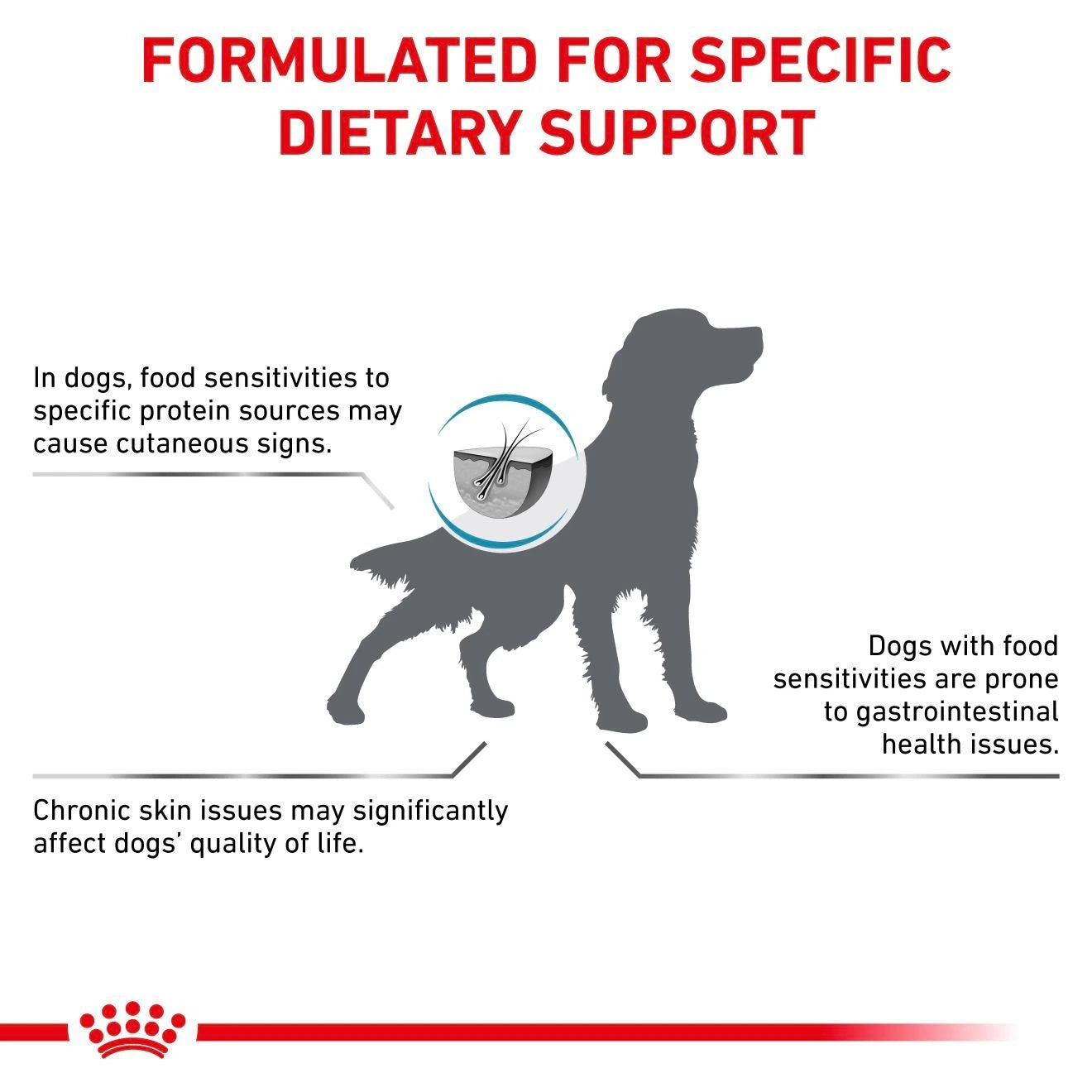 Royal Canin - Canine Hypoallergenic Adult is formulated for food sensitivities