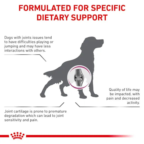 Royal Canin - Canine Mobility C2P+