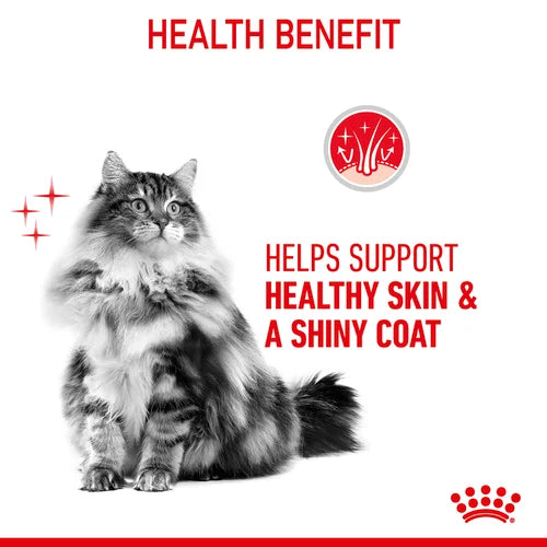 Royal Canin - Care Hair & Skin Cat Dry Food