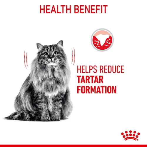 Royal Canin - Care Oral Cat Dry Food