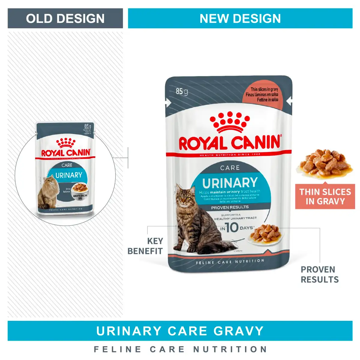 Royal Canin | Care Urinary Cat Wet Food in Gravy | Vetopia