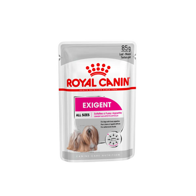 Royal Canin - Exigent Dog Loaf Wet Food 85g