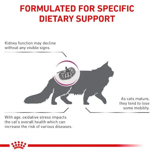 Royal Canin - Feline "Early" Renal Dry Food