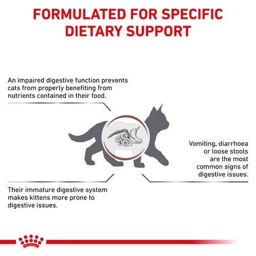 Royal Canin - Feline Gastro Intestinal Kitten