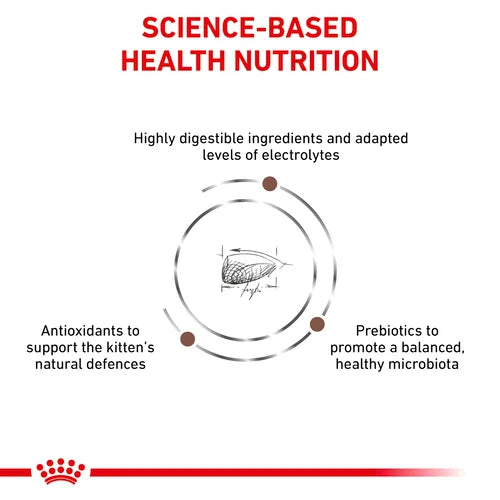 Royal Canin - Feline Gastro Intestinal Kitten